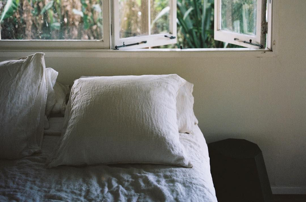 Comfort station pillows 2025