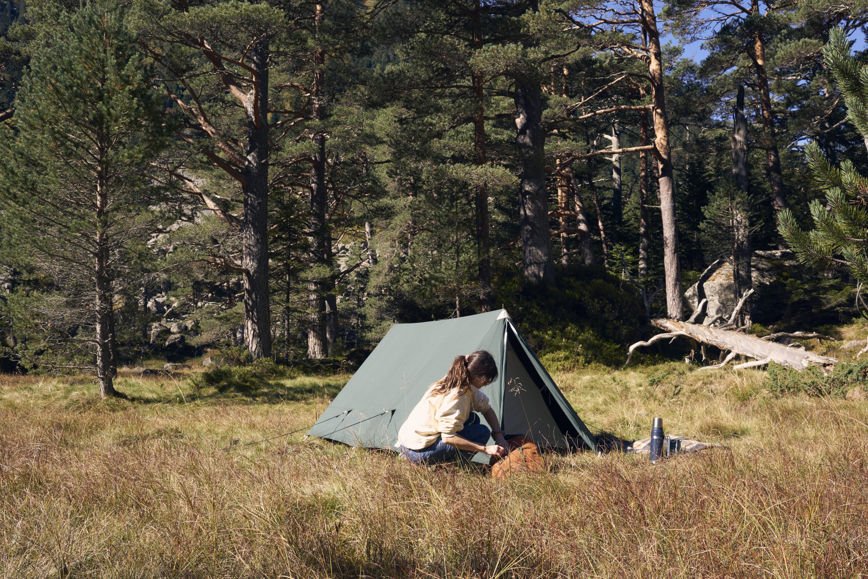 Get to Know — ReFramed